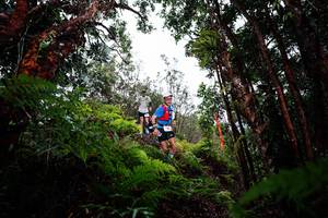 BIB: 
                            <button type="button" onclick="openModal(26201106)" class="btn btn-primary btn-sm float-right btn-popup" data-toggle="modal" data-target=".modal-high-quality">
                        <i class="fas fa-shopping-cart"></i> Add to Cart
                    </button>
                                            <button type="button" onclick="isThisMe(26201106, true)" class="btn btn-success btn-sm float-right btn-popup btn-isme hidden" data-toggle="tooltip" data-placement="bottom" title="นี่คือรูปของคุณใช่ไหม คลิกที่นี่เพื่อเอาเข้าอัลบั้ม">
                        <i class="fas fa-plus"></i> Add to album
                    </button>
                    <button type="button" onclick="isThisMe(26201106, false)" class="btn btn-warning btn-sm float-right btn-popup btn-isnotme hidden">
                        <i class="fas fa-ban"></i> Remove from album
                    </button>